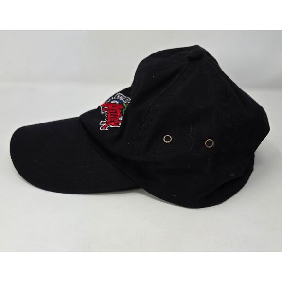 Kansas City Soccer 3 Hats Kansas City Attack Kansas City Comets Dad Hat Visor - Picture 3 of 14